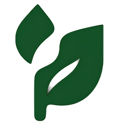 Yinei Academy